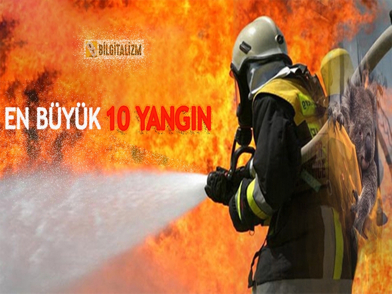 ORMAN YANGINI | EN BÜYÜK ORMAN YANGINLARI