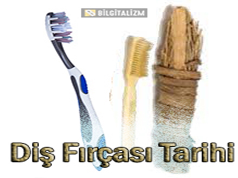 Tarihteki İlk Diş Fırçası Hangisi? Diş Fırçasını Kim Buldu?