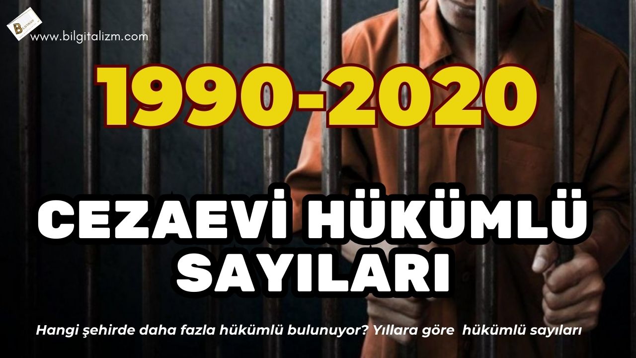 CEZAEVİ HÜKÜMLÜ SAYILARI 1990-2020 Yılları - En çok hükümlü hangi şehirde?