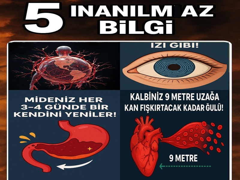 İnsan Vücudu Hakkında Şaşırtıcı 5 Bilgi – Bilmediğiniz Gerçekler!